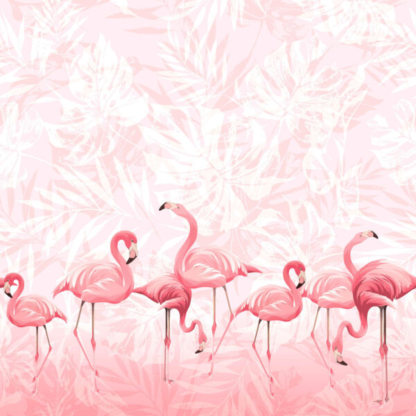 Egy csoport rózsaszín flamingó Egy csoport rózsaszín flamingó