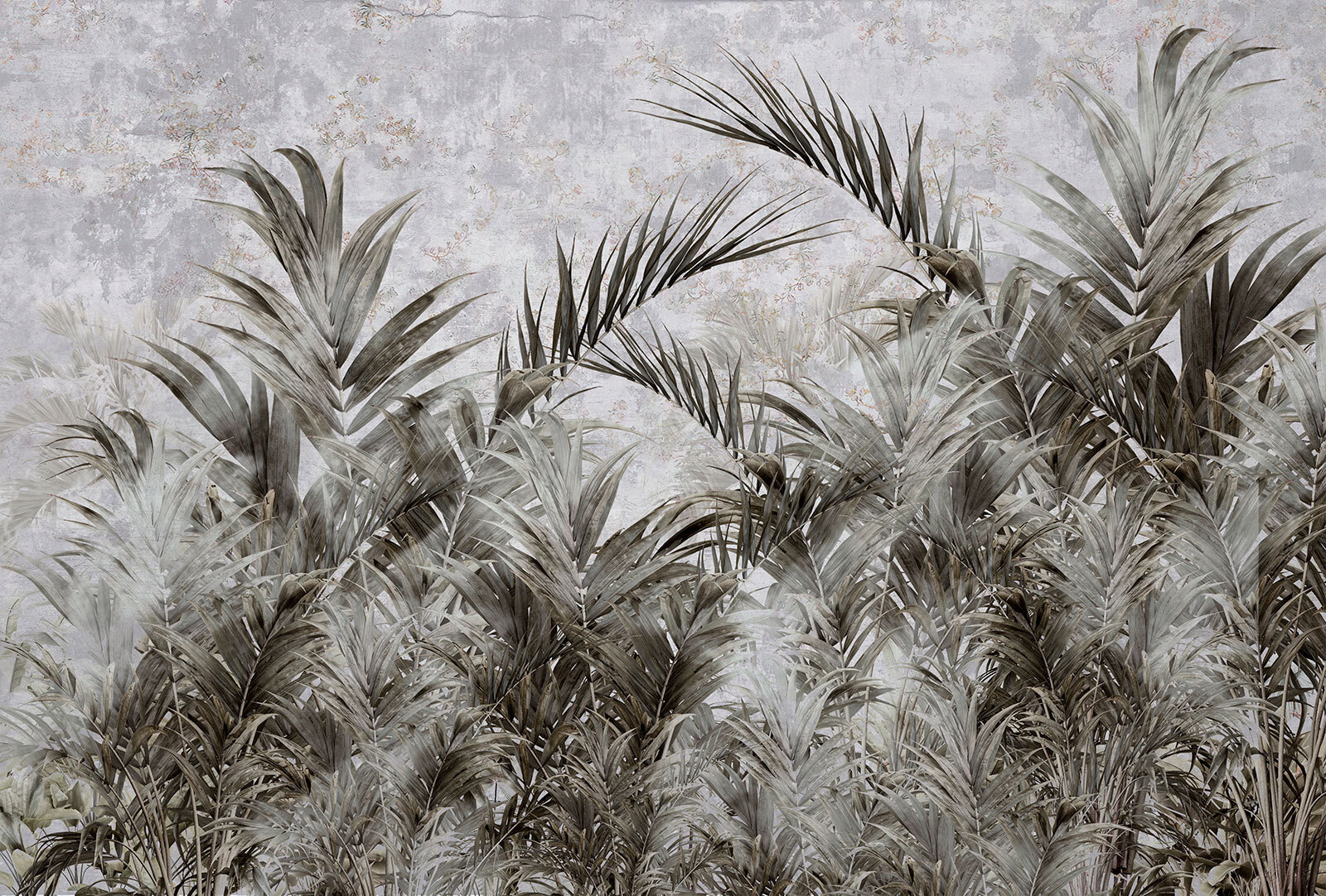 Group of palm trees Group of palm trees