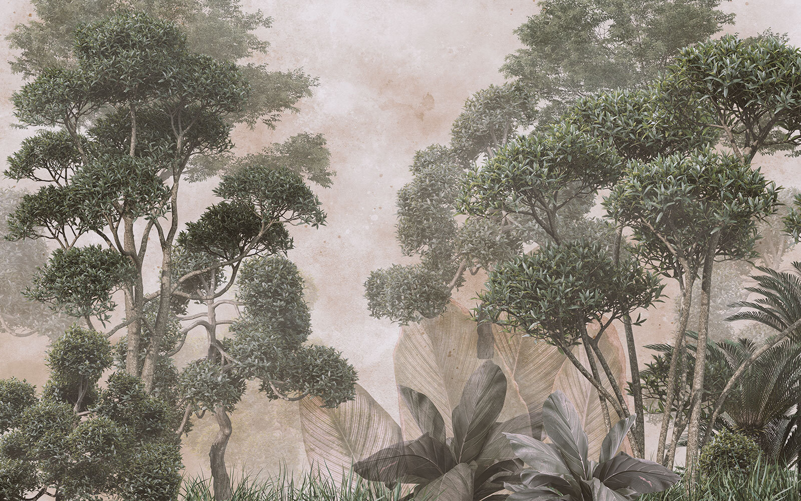 Group of trees and grass