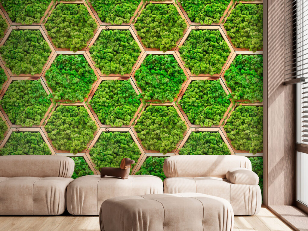 Wall of plants in hexagons Wall of plants in hexagons