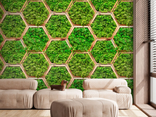 Wall of plants in hexagons Wall of plants in hexagons