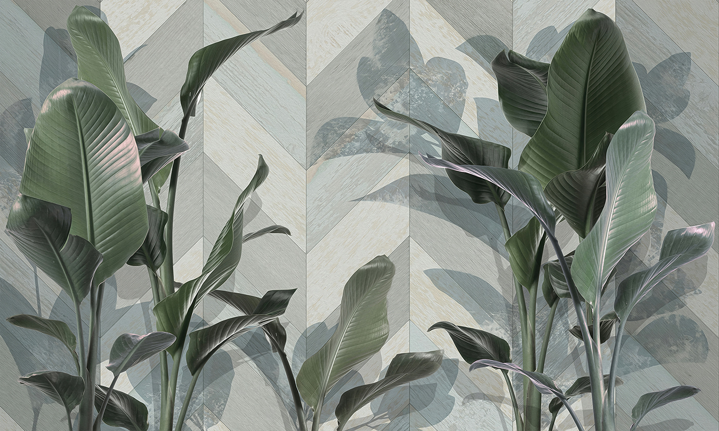 Plant with leaves on it Plant with leaves on it