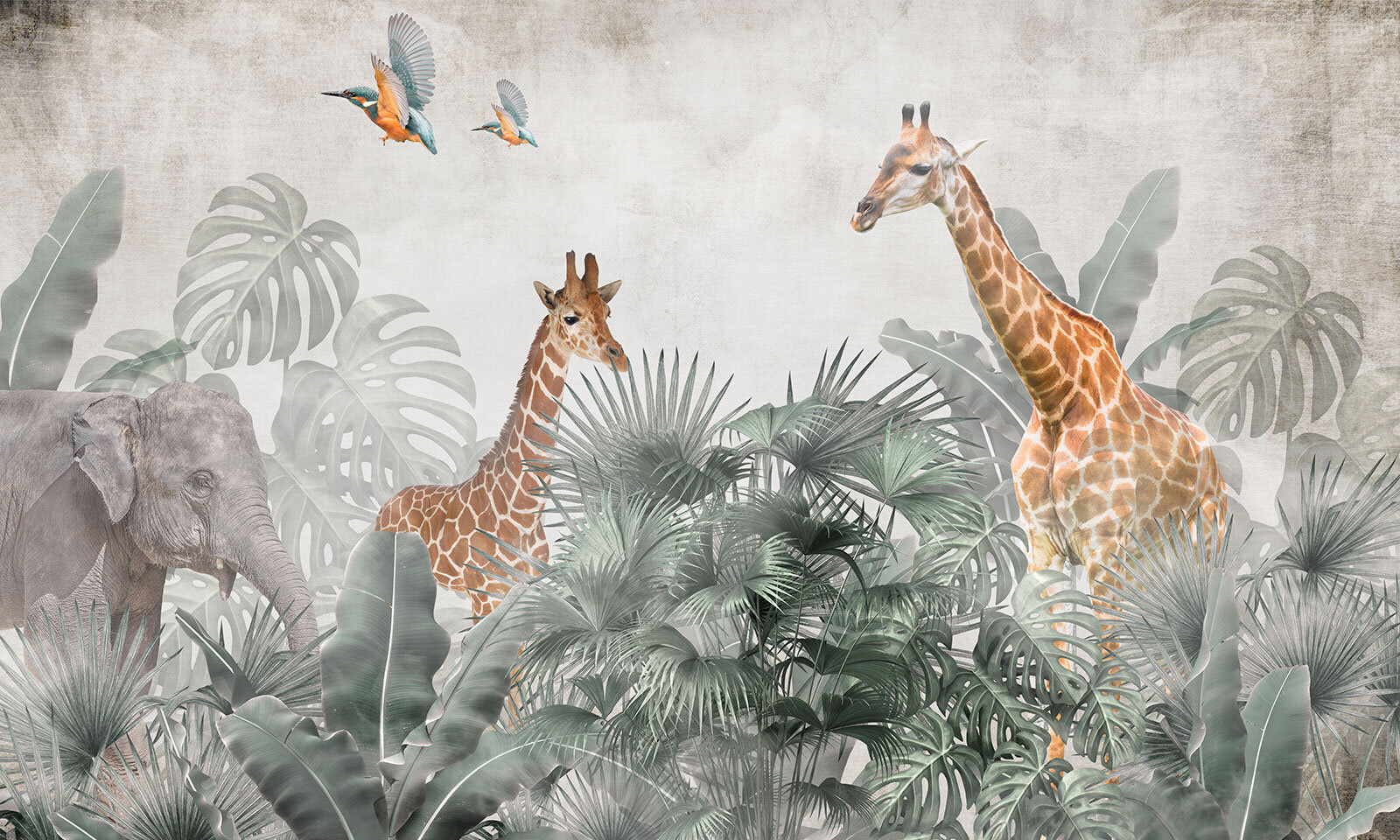 Group of giraffes in a forest Group of giraffes in a forest