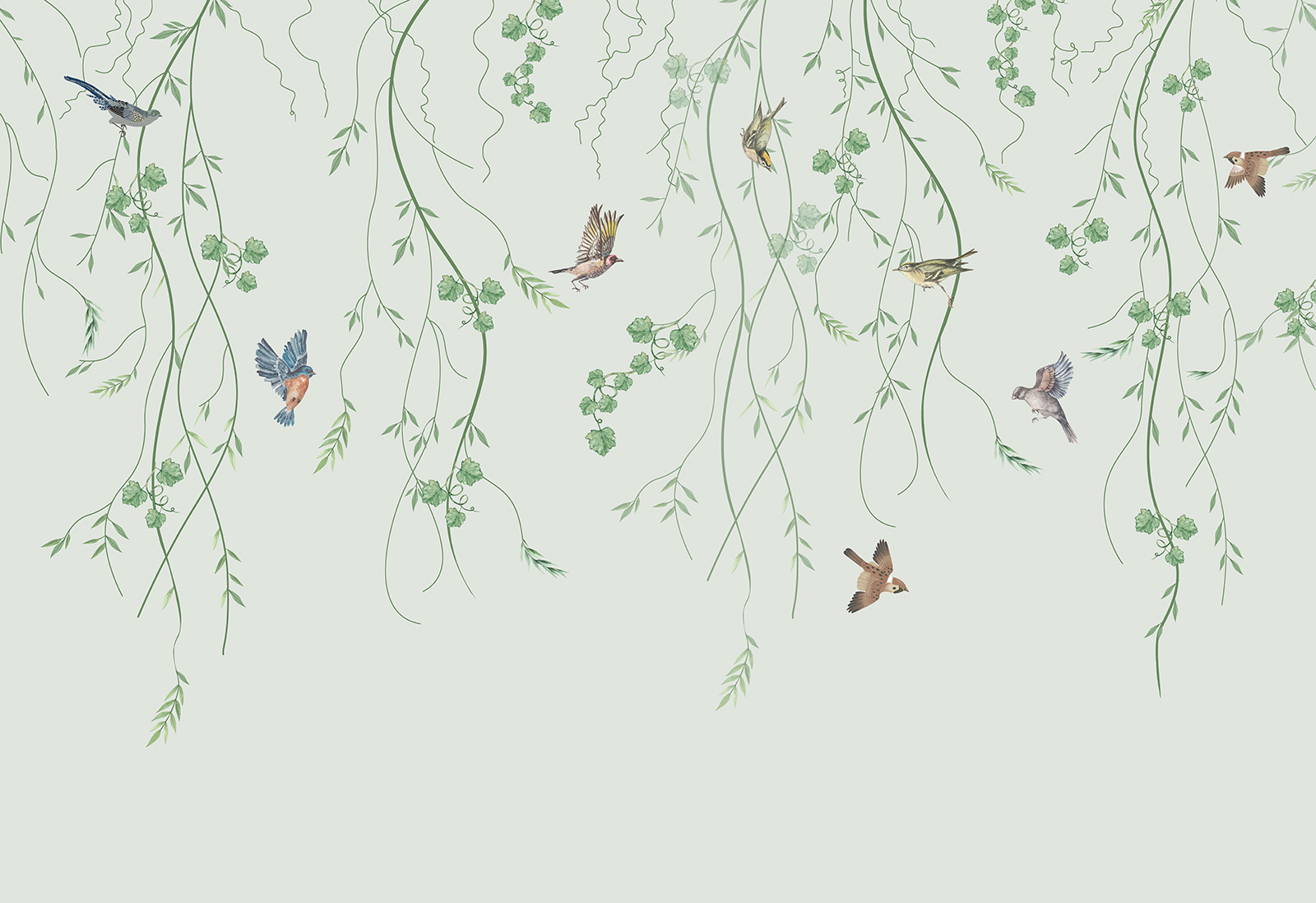 Wallpaper with birds and vines Wallpaper with birds and vines