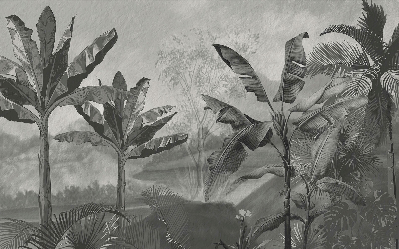 Black and white image of a tropical forest