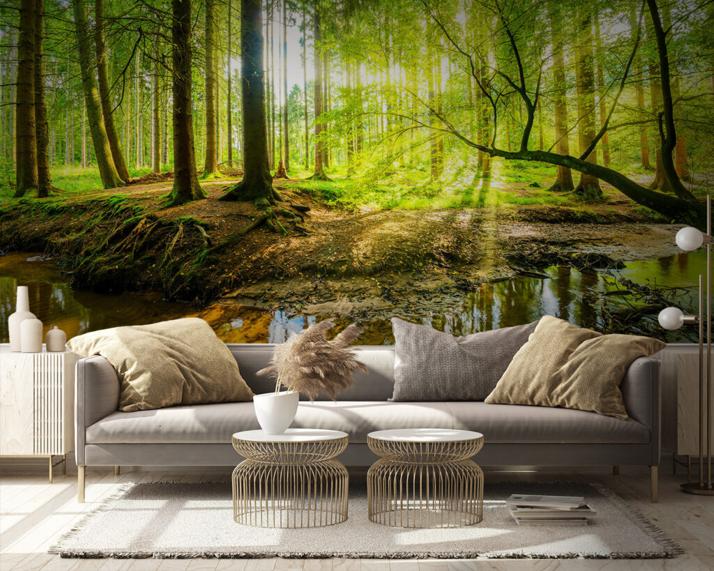 Stream in a forest Stream in a forest