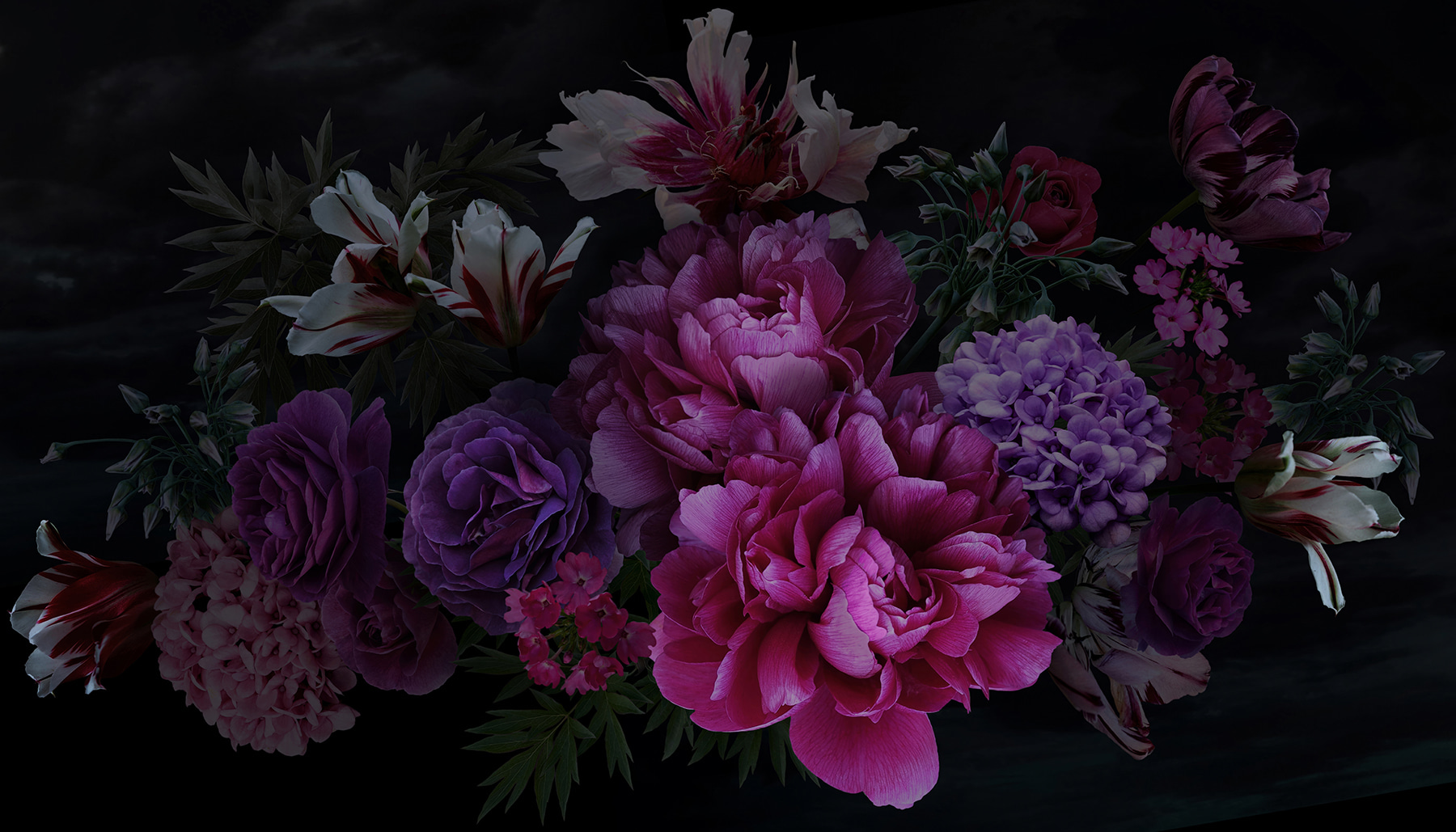 Group of flowers on a black background Group of flowers on a black background