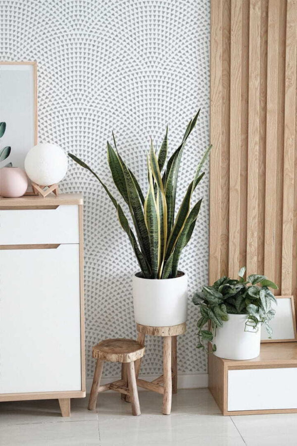 Fotótapéta Fotótapéta Fehér háttér kék pontokkal (Cikkszám: u71192)