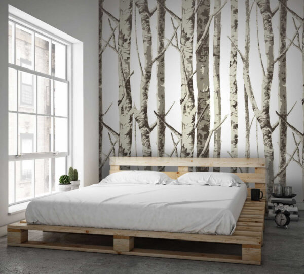 Group of trees with no leaves