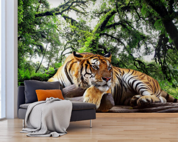 Tigris fekszik egy fatörzsön Tigris fekszik egy fatörzsön