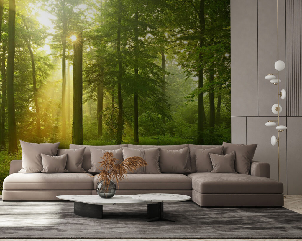 Sun shining through trees Sun shining through trees