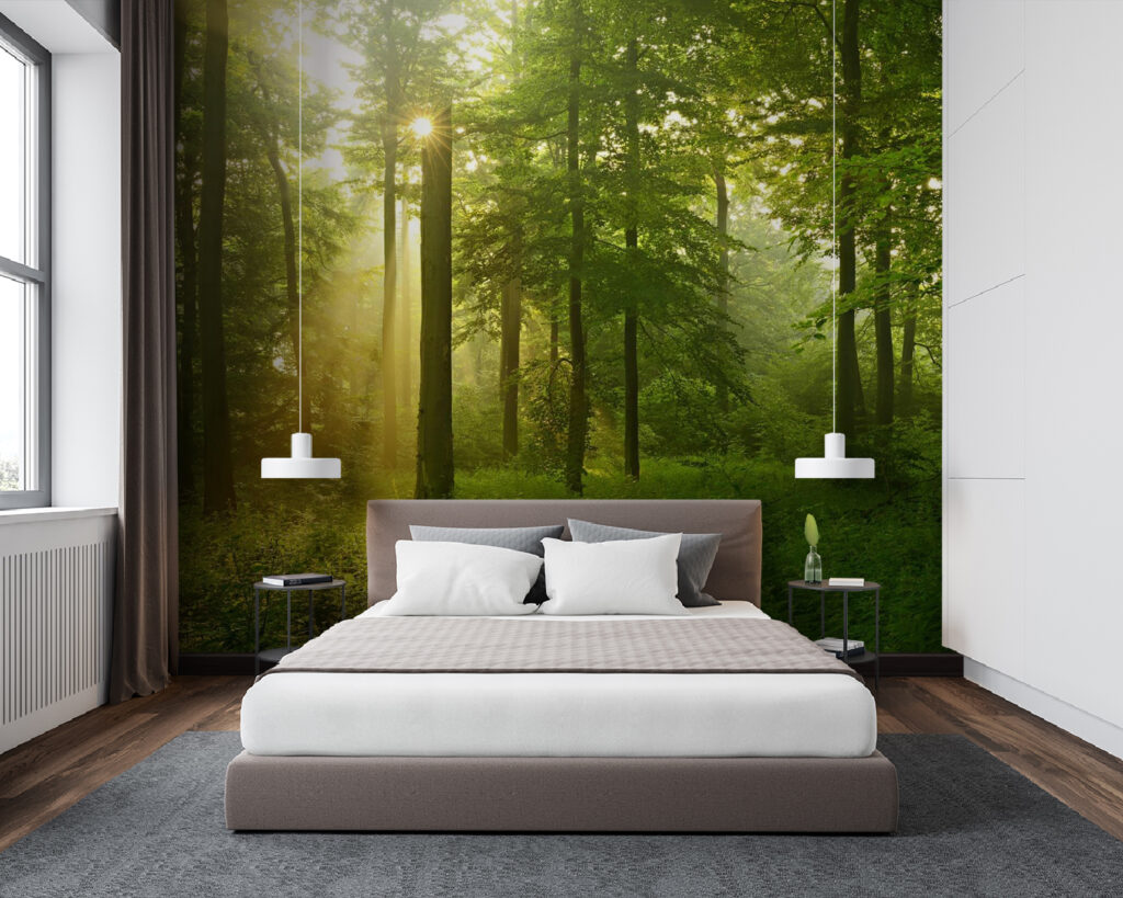 Sun shining through trees Sun shining through trees