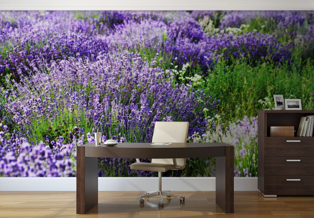 Lila virágmező u57293piw1 1024x712 - Lila virágmező - tegory