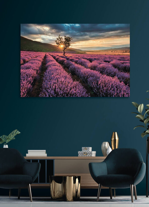 Tree in a field of lavender