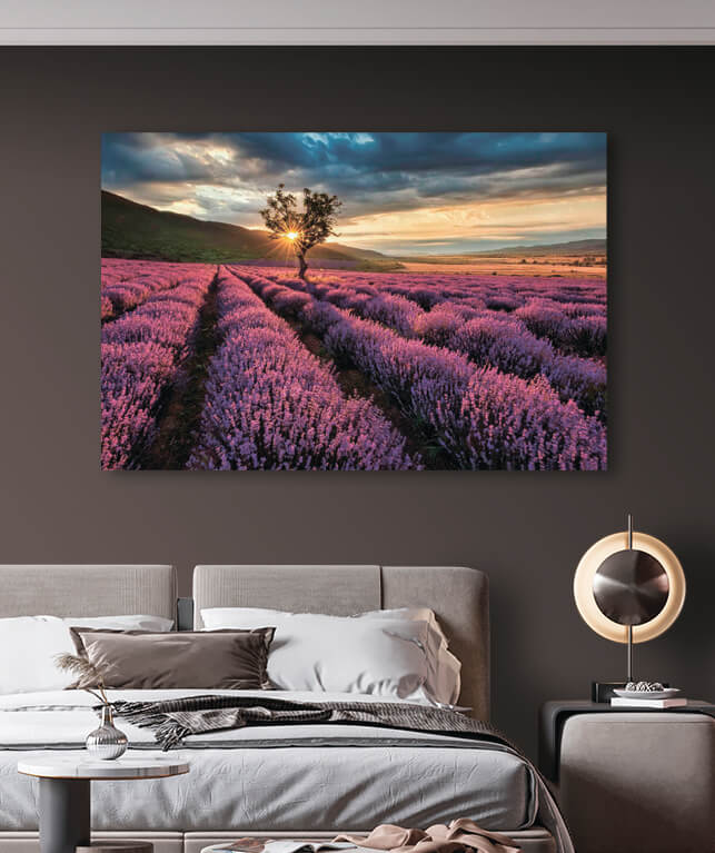 Tree in a field of lavender