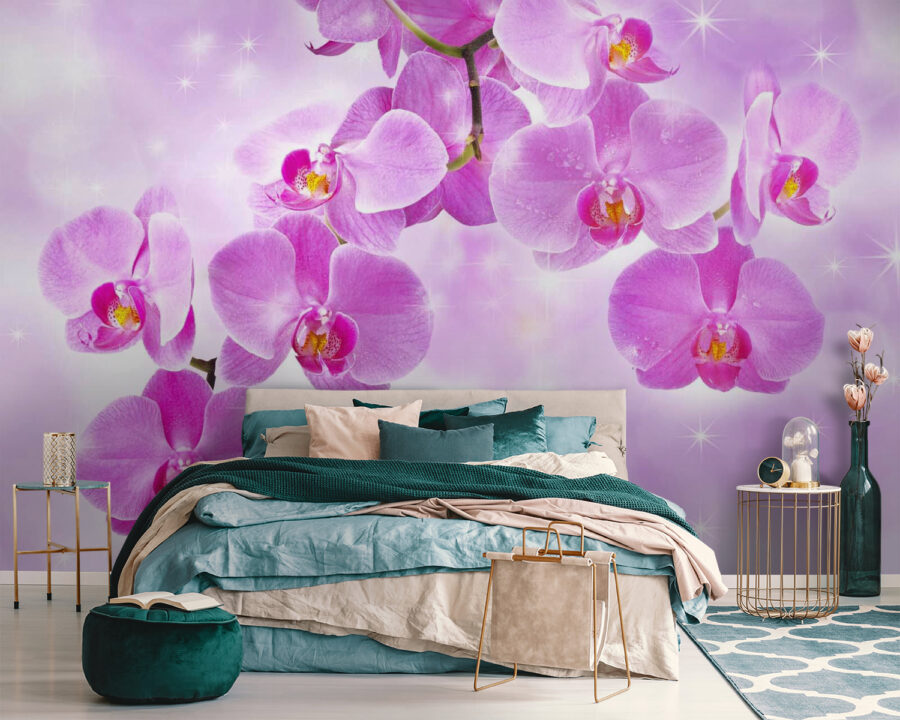 Finom orchideák lágy árnyalatokban
