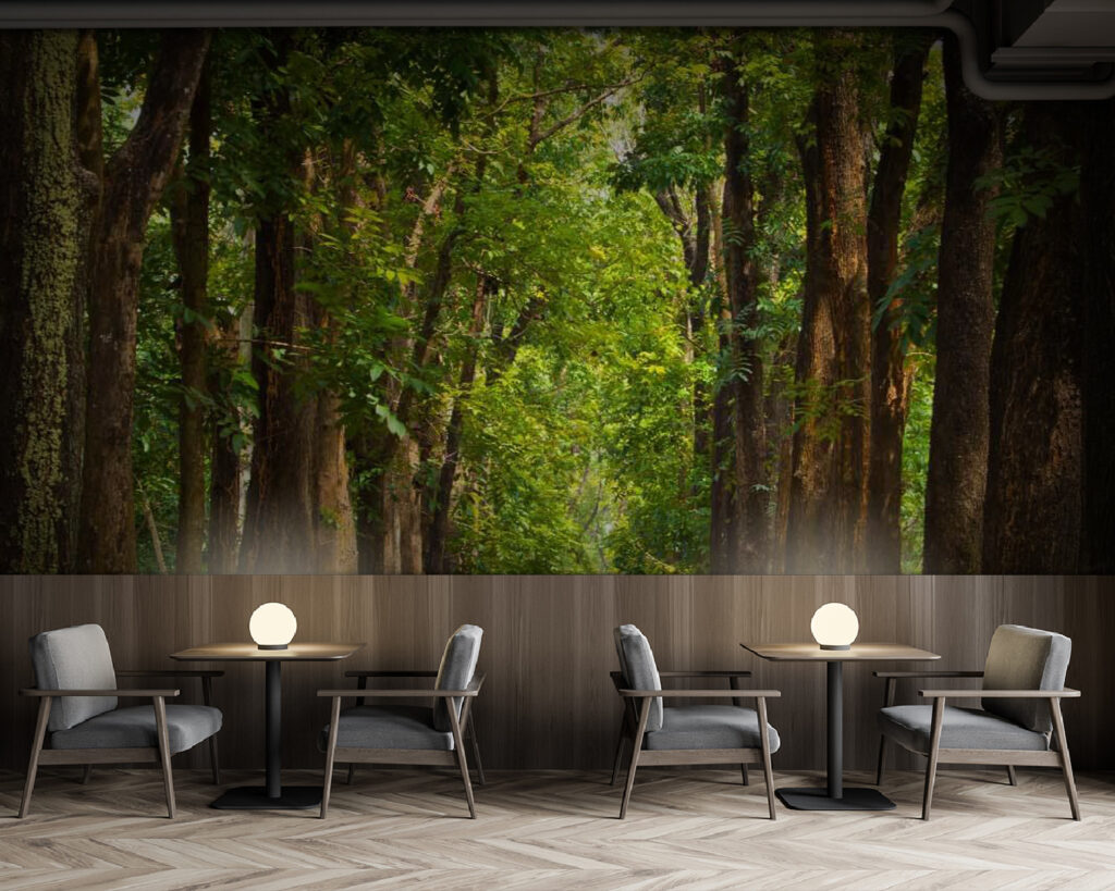 u55418piz137m 1024x819 - ösvény fákkal az oldalán - tegory