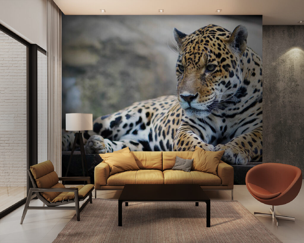 u55313pig28m 1024x819 - Leopárd fekszik egy fa felületen - tegory