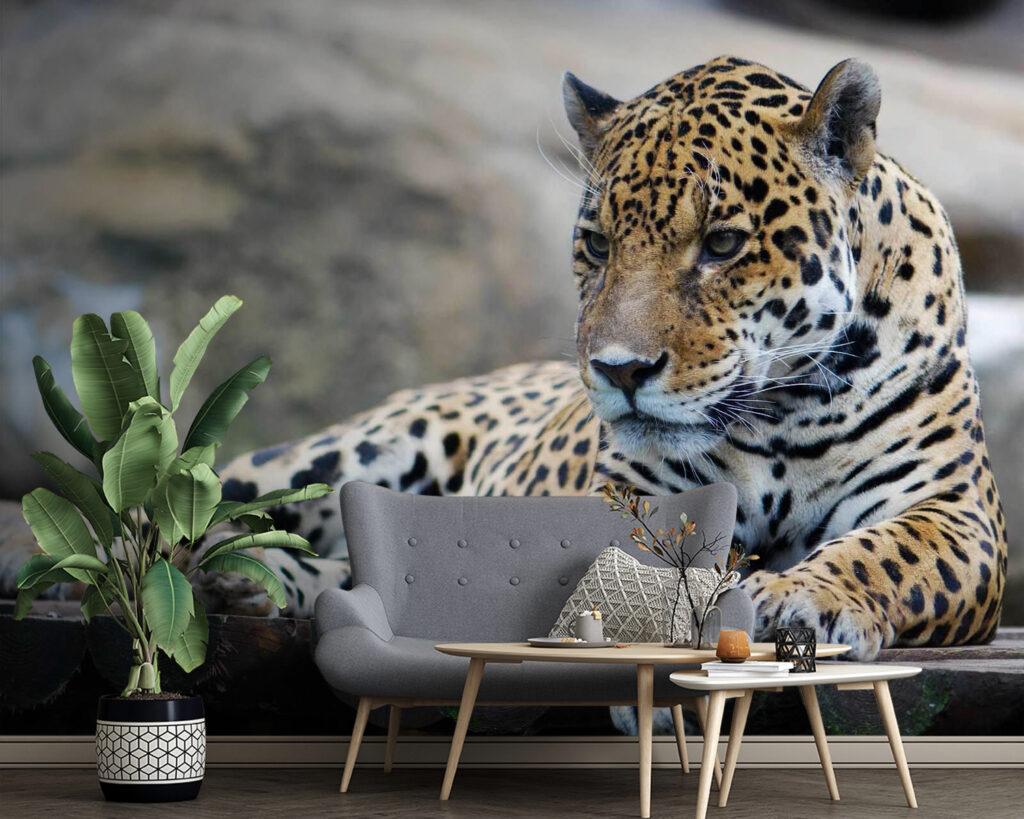 u55313pig4 1024x819 - Leopárd fekszik egy fa felületen - tegory