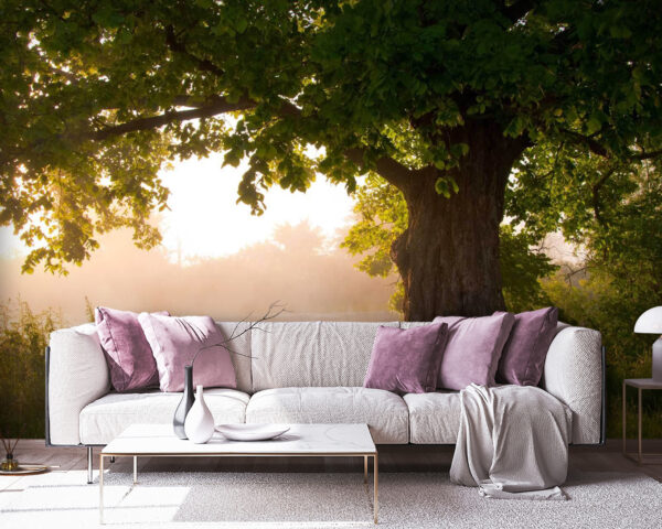 Fotótapéta Fotótapéta Fa egy ködös folyóval (Cikkszám: u55187)