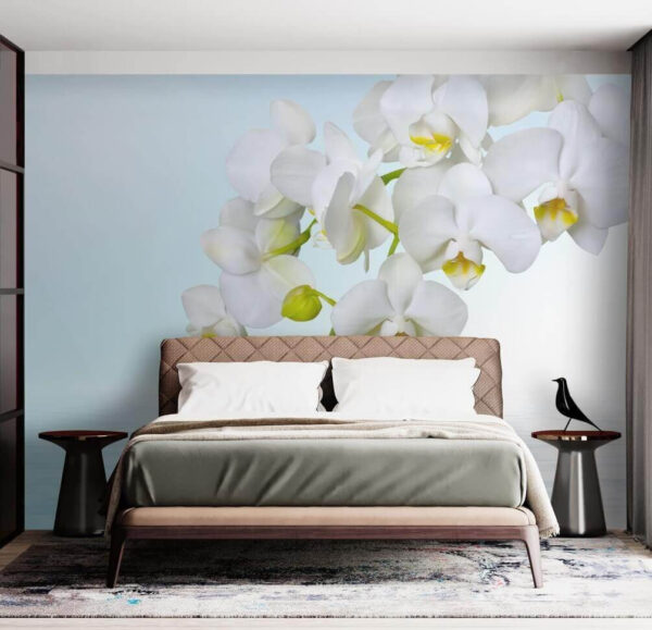 Fehér orchideák a víz felett Fehér orchideák a víz felett