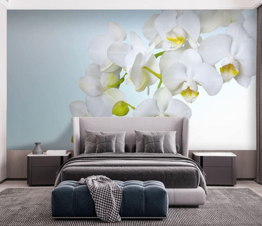 Fehér orchideák a víz felett