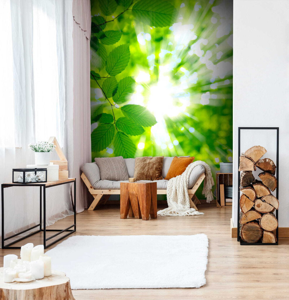 Sun shining through leaves Sun shining through leaves