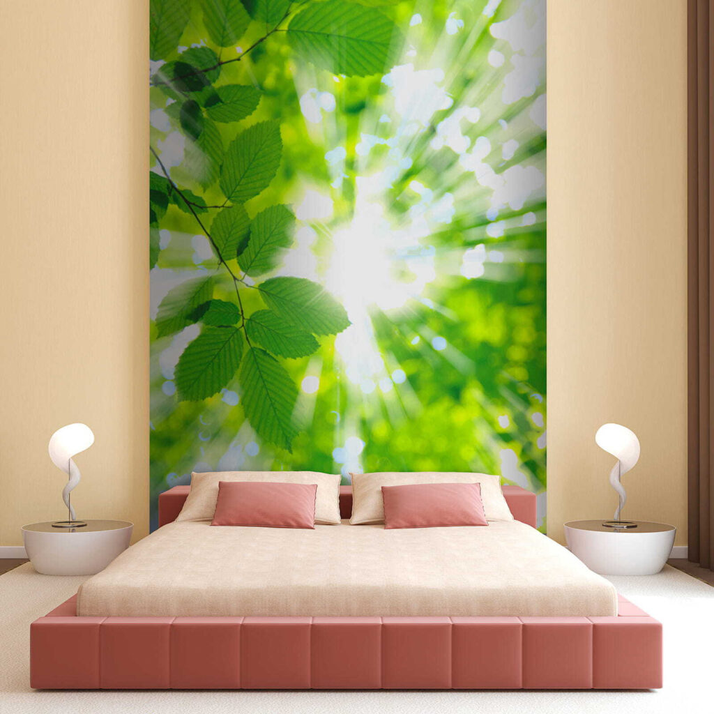 Sun shining through leaves Sun shining through leaves