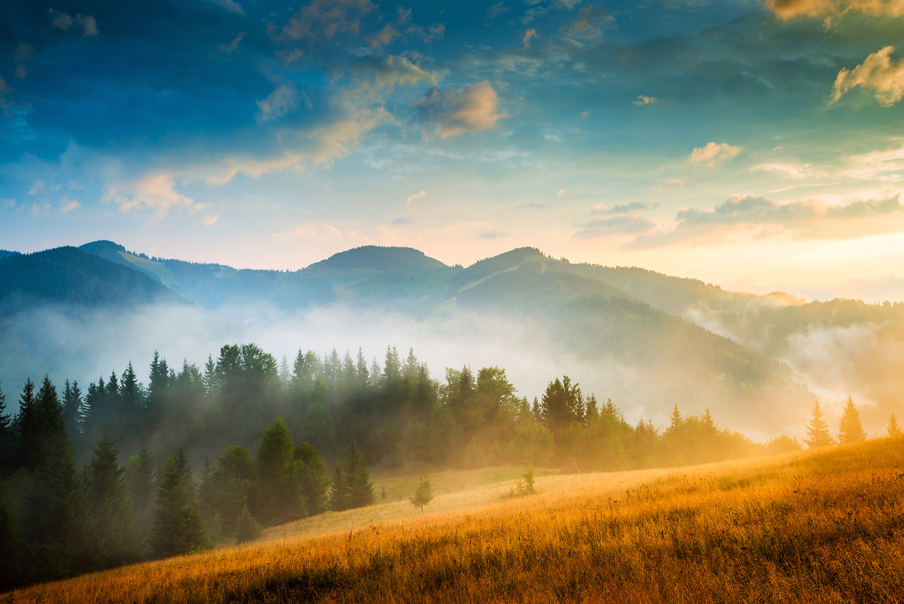 Landscape with trees and mountains