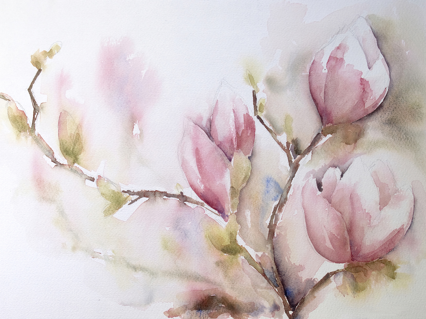 Watercolor painting of pink flowers Watercolor painting of pink flowers