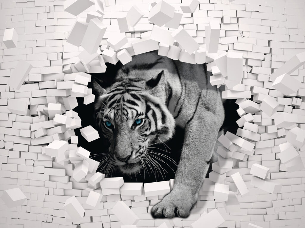 Tigris jön ki a falból Tigris jön ki a falból