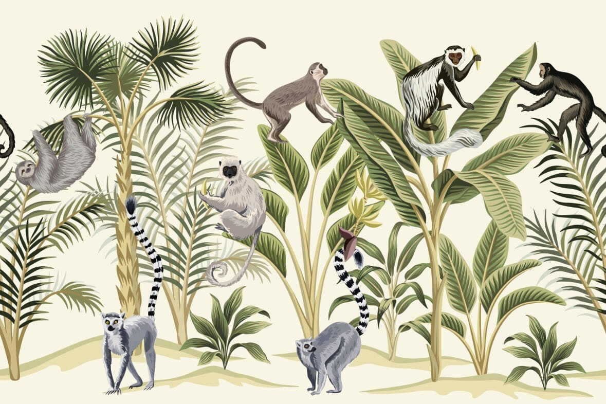 Group of monkeys and plants