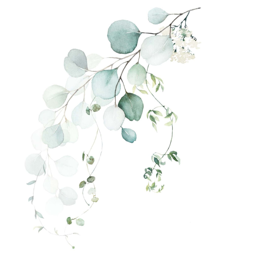 Watercolor of a branch with leaves Watercolor of a branch with leaves