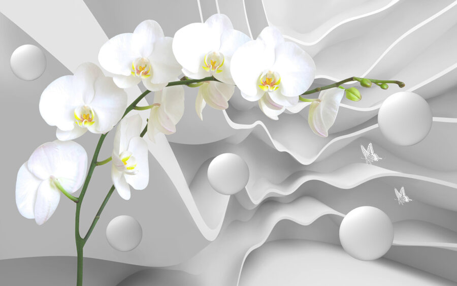 Fehér orchideák és fehér gömbök