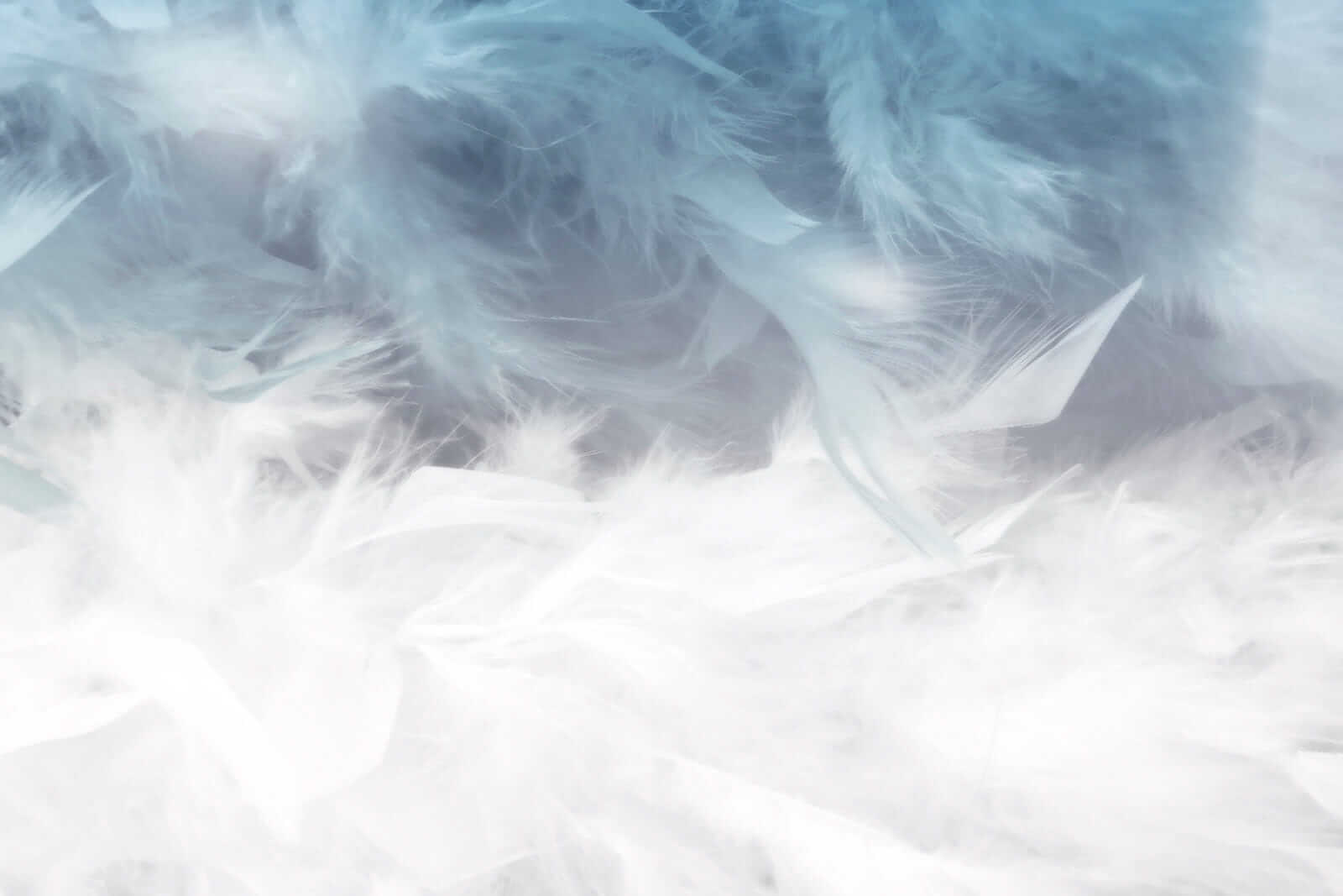 Soft textures in soothing colors