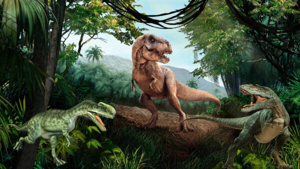 Dinoszaurusz az erdőben Dinoszaurusz az erdőben