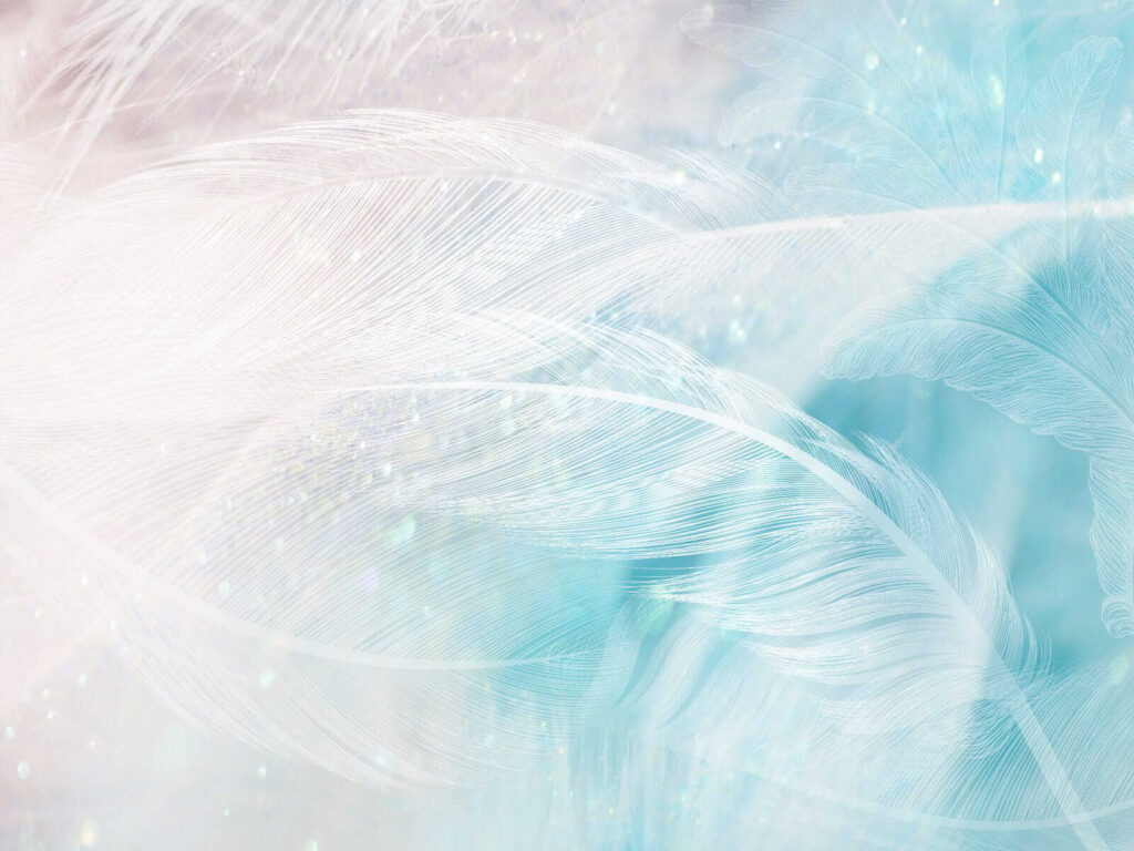 Delicate feathers in soft hues