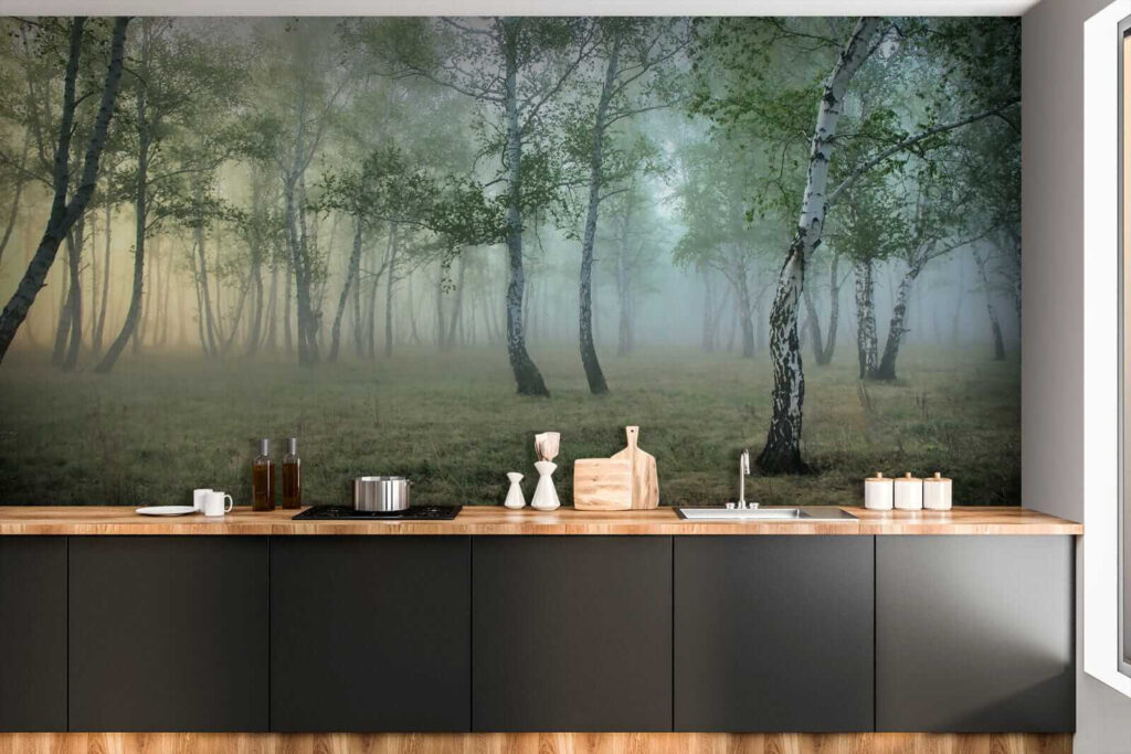 Foggy forest with trees Foggy forest with trees