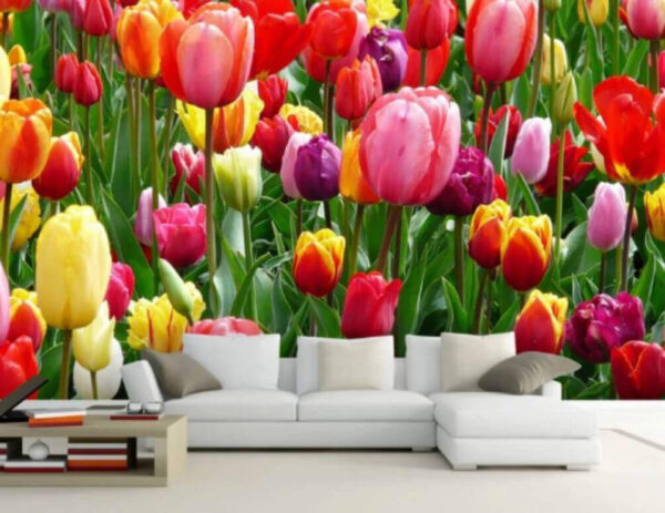 Színes tulipánok csoportja Színes tulipánok csoportja