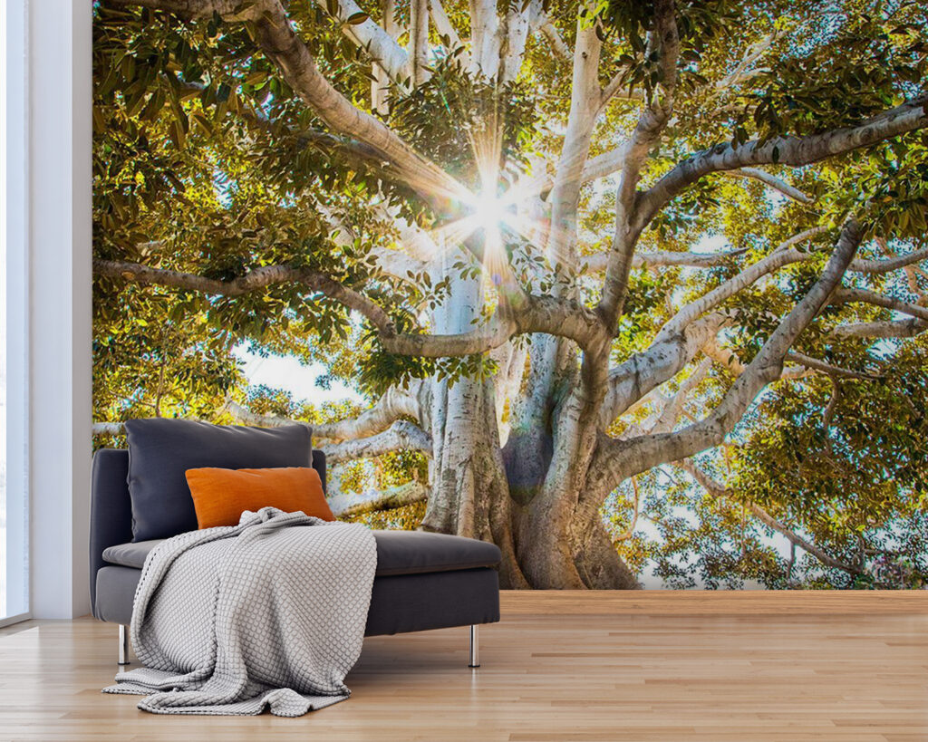 u01271pig25 1024x819 - Fenséges fa ragyogó napfényben - tegory