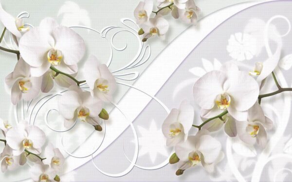 Finom orchideák lágy árnyalatokban Finom orchideák lágy árnyalatokban