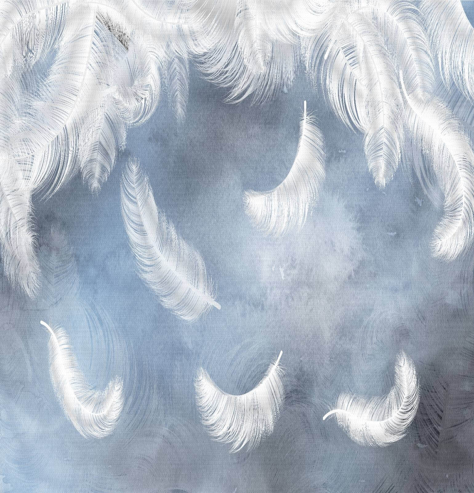 Fehér tollak kék háttéren u23747p - Fehér tollak kék háttéren - tegory