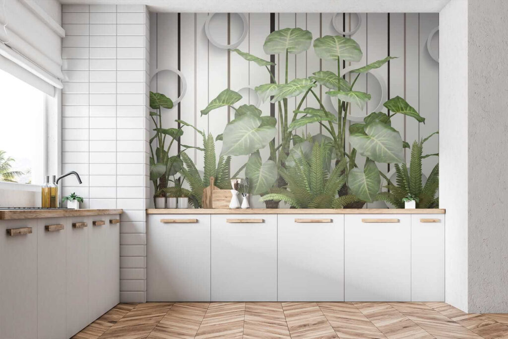 Plant with green leaves