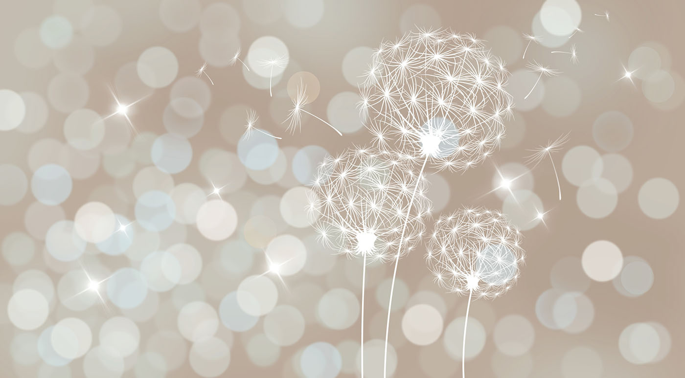 Delicate dandelions in soft backdrop