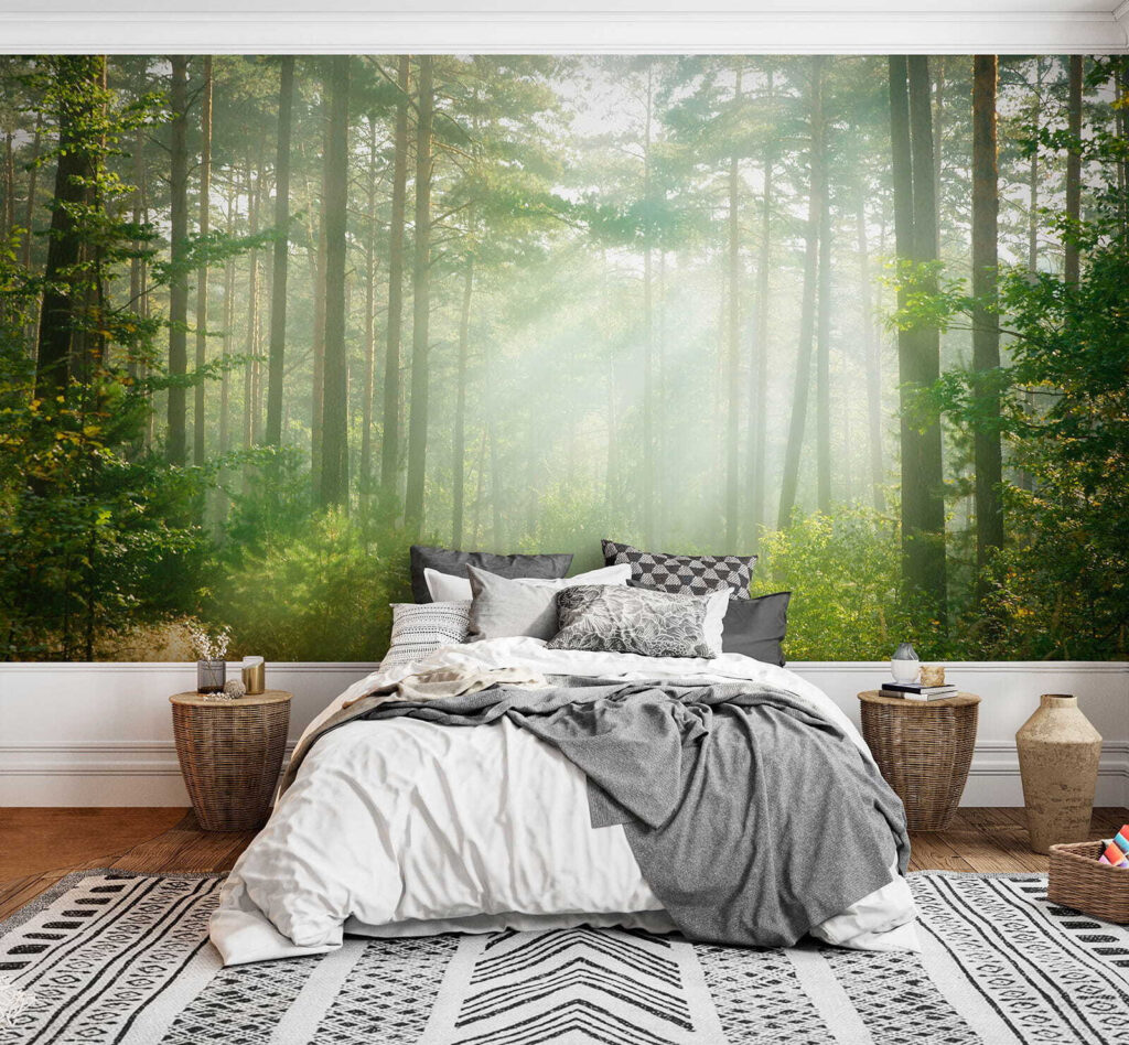 Path through a forest with trees and bushes