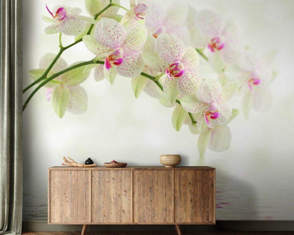 Finom orchideák szelíd víz felett Finom orchideák szelíd víz felett