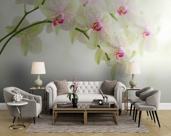 Finom orchideák szelíd víz felett Finom orchideák szelíd víz felett