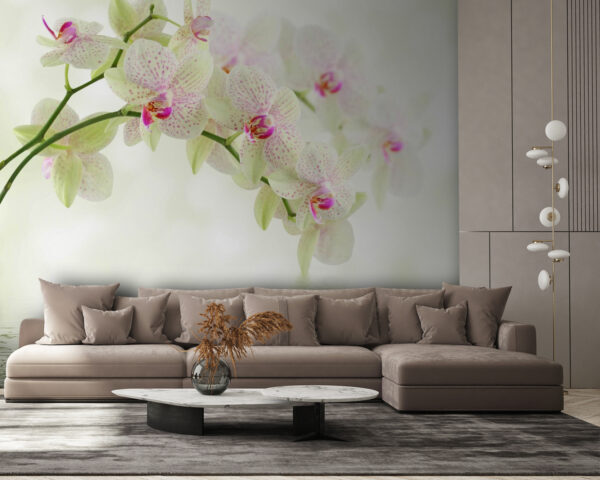 Finom orchideák szelíd víz felett Finom orchideák szelíd víz felett
