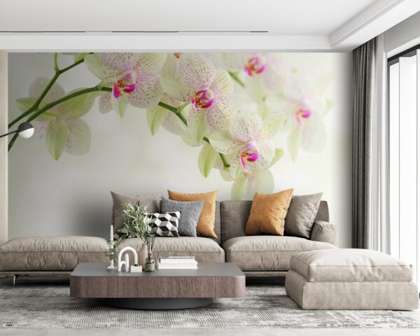 Finom orchideák szelíd víz felett Finom orchideák szelíd víz felett