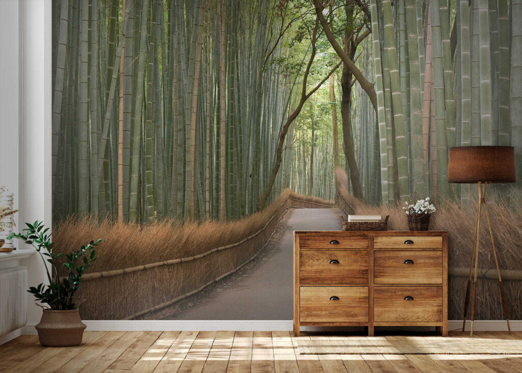 Path through a bamboo forest Path through a bamboo forest